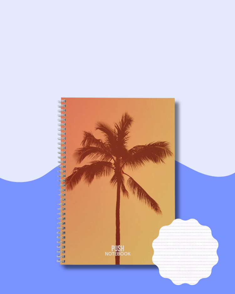 The PUSH Journal: an All-In-One life planner and much more... – Chalene ...