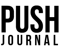 How to use the PUSH Journal – Chalene Johnson